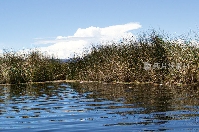 Puno Bay Totoral报道